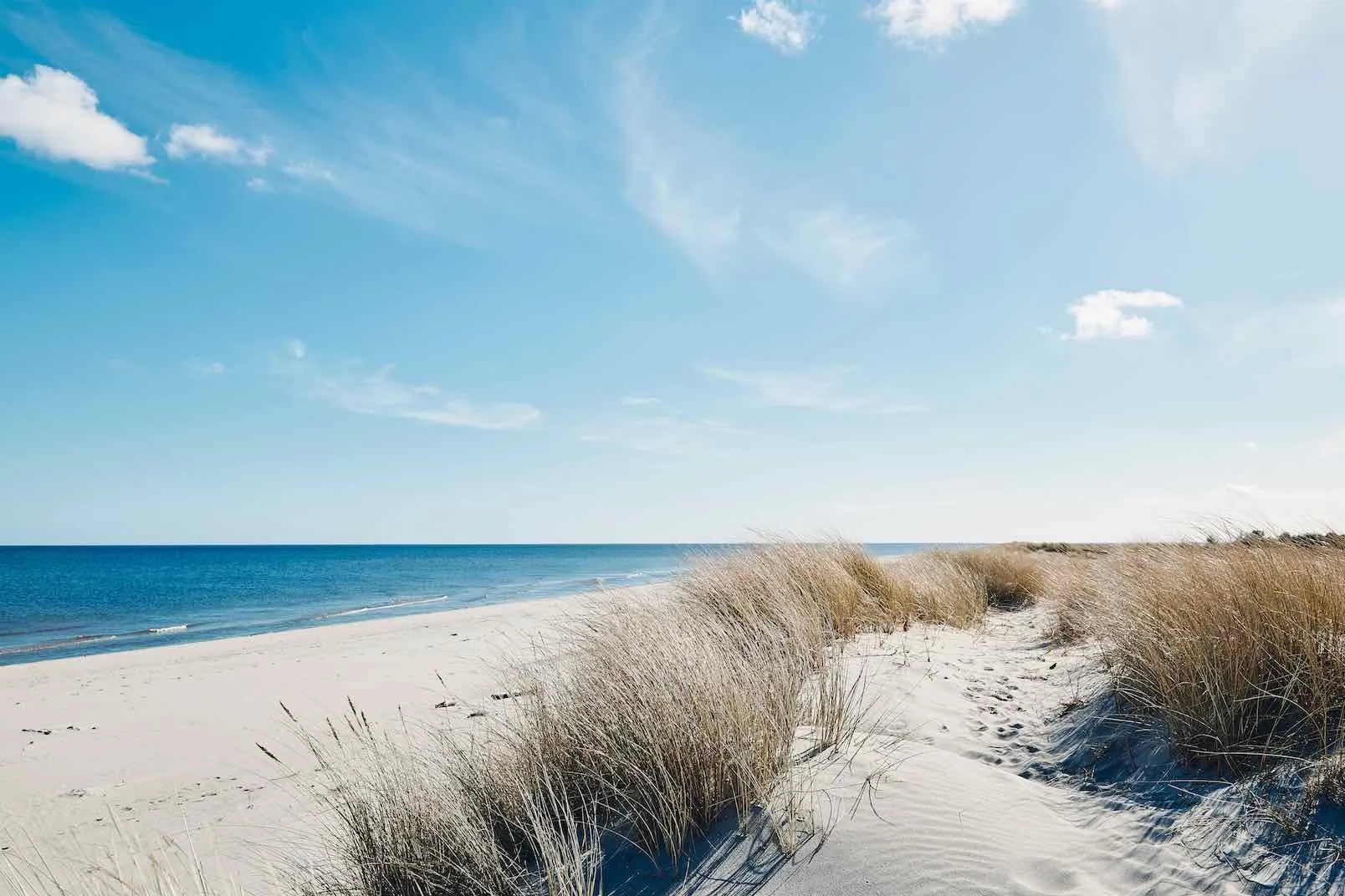 Danish Coastline